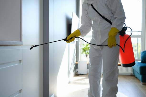 Best Residential Mold Removal  in Emporium, PA
